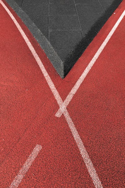 Comunicación No Verbal con Caballos